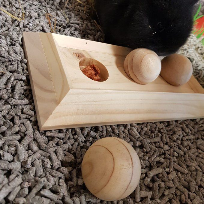 Jeu d’Intelligence Sniffle ’n Snack Puzzle Fay – Boules à Pousser